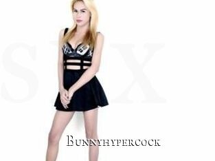 Bunnyhypercock