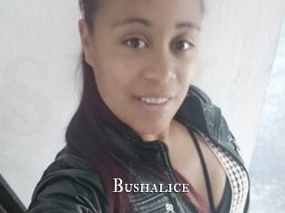 Bushalice
