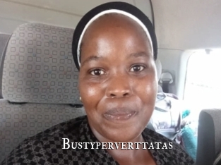 Bustyperverttatas