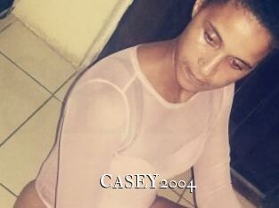 CASEY2004