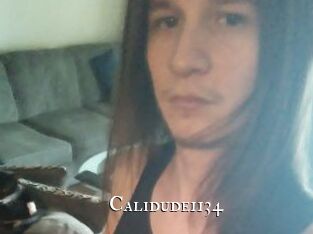 Calidude1134