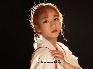 CarelAny cams