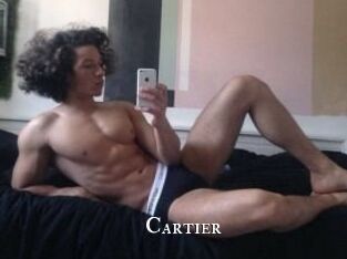 Cartier_ cams