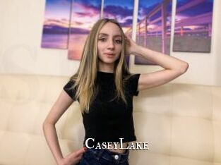 CaseyLake