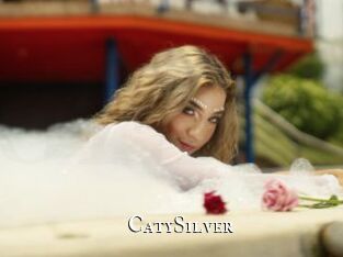 CatySilver cams