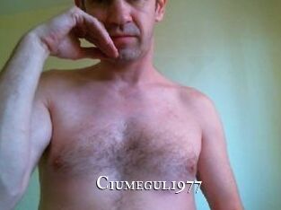 Ciumegul1977
