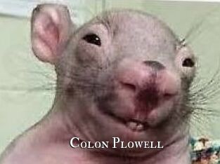 Colon_Plowell