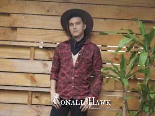 Conall_Hawk