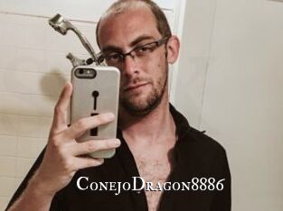 ConejoDragon8886