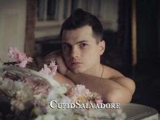 CupidSalvadore