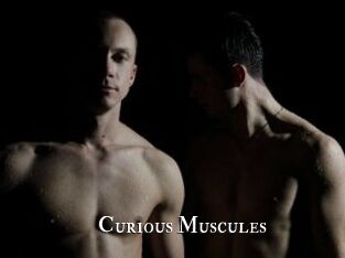 Curious_Muscules