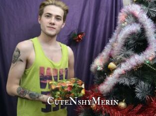 CuteNshyMerin