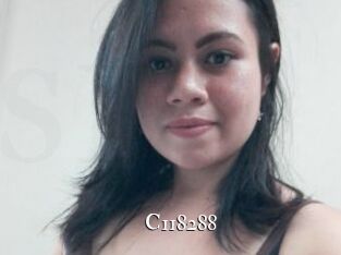 C118288