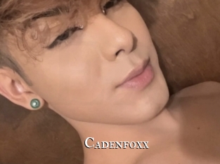 Cadenfoxx