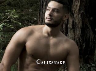 Calixsnake