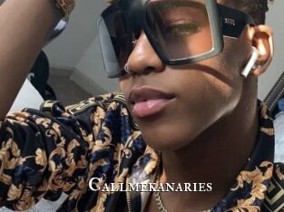 callmekanaries cams