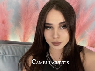 Cameliacurtis