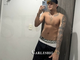 carlesbig cams