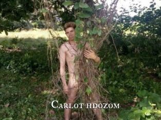 Carlot_hdozom