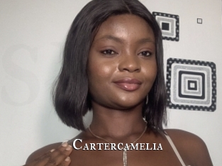 Cartercamelia