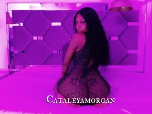 Cataleyamorgan