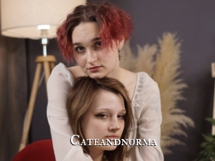 cateandnorma cams