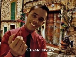 Chamo_brown
