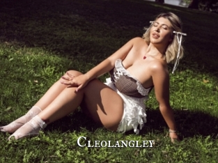 cleolangley cams