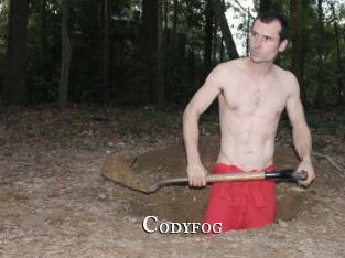Codyfog