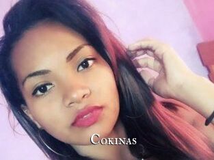 Cokinas