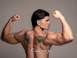 col_wild cams