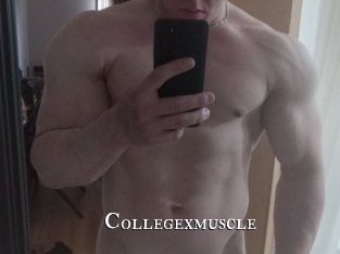 collegexmuscle cams