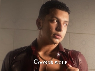 coonor_wolf cams
