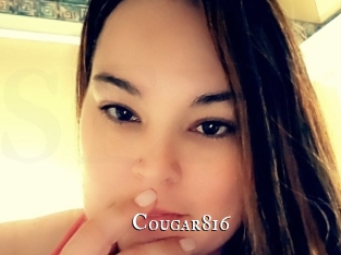 Cougar816