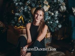 DaisyDandelion