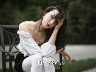 DaisySwan