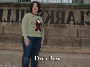 Daisy_Bear