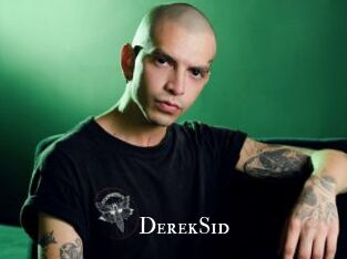 DerekSid