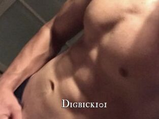 Digbick101
