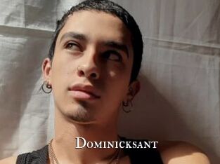 Dominicksant