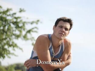 DominikYa