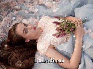 DreamSleep