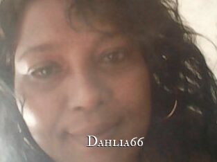 Dahlia66