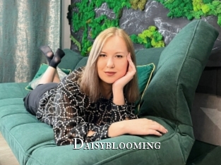 Daisyblooming