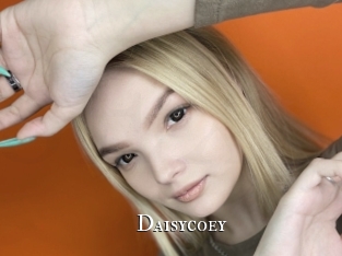 Daisycoey
