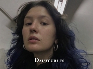 Daisycurles