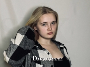 Daisygambee