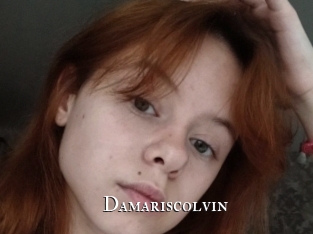 Damariscolvin
