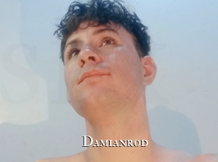 damianrod cams