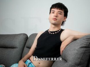 Damiferrer